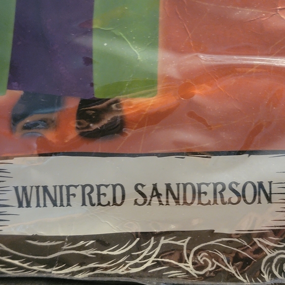 Hocus Pocus costume SOLD - Picture 3 of 8